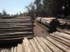 Madetalca Ltda.-maderas impregnadas al vacio