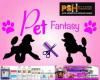 Pet fantasy dog